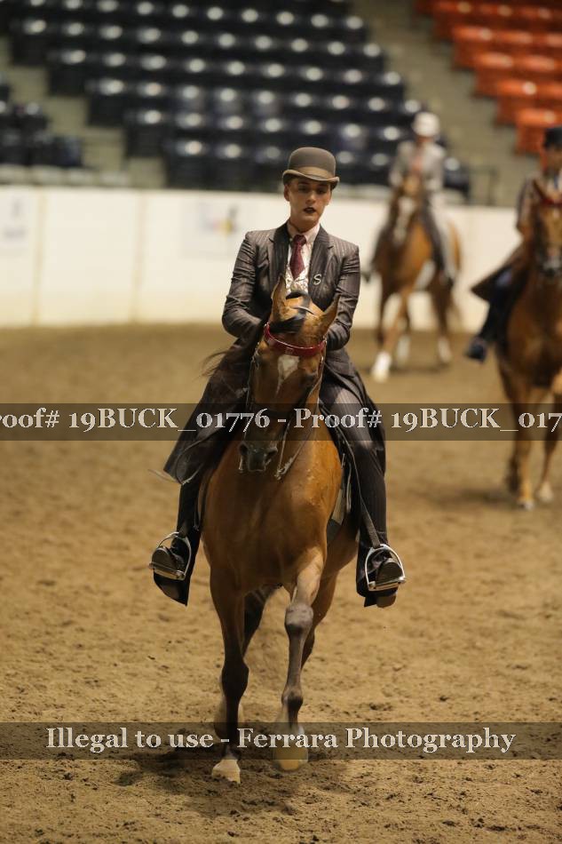 Proof 19BUCK_01776