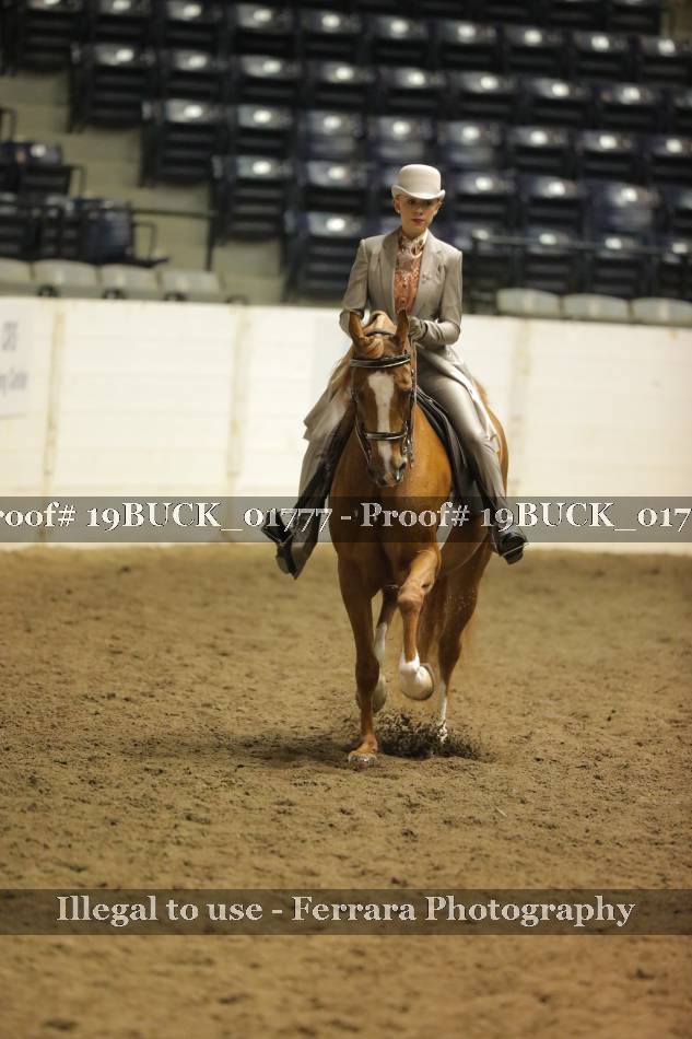 Proof 19BUCK_01777