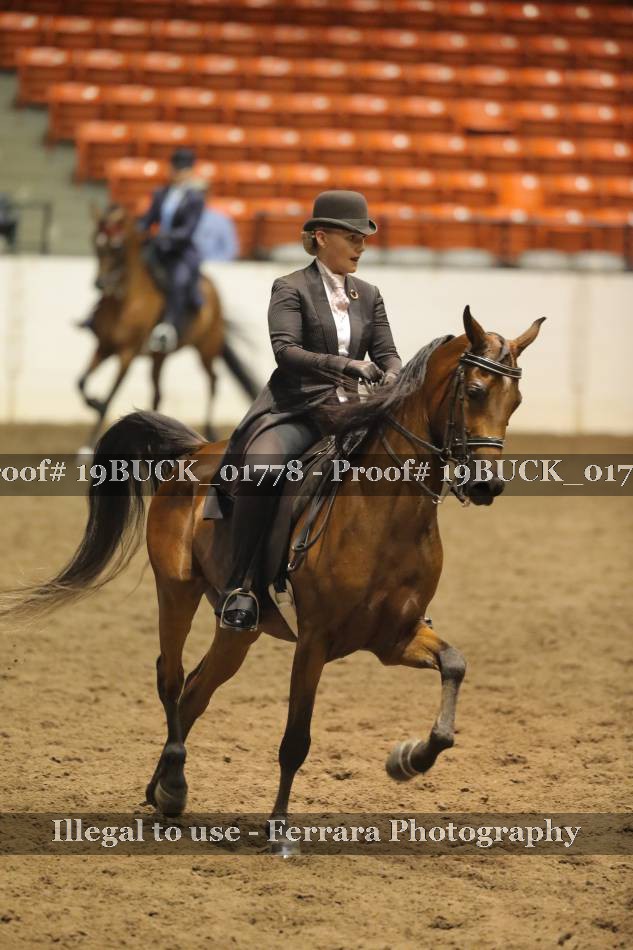 Proof 19BUCK_01778