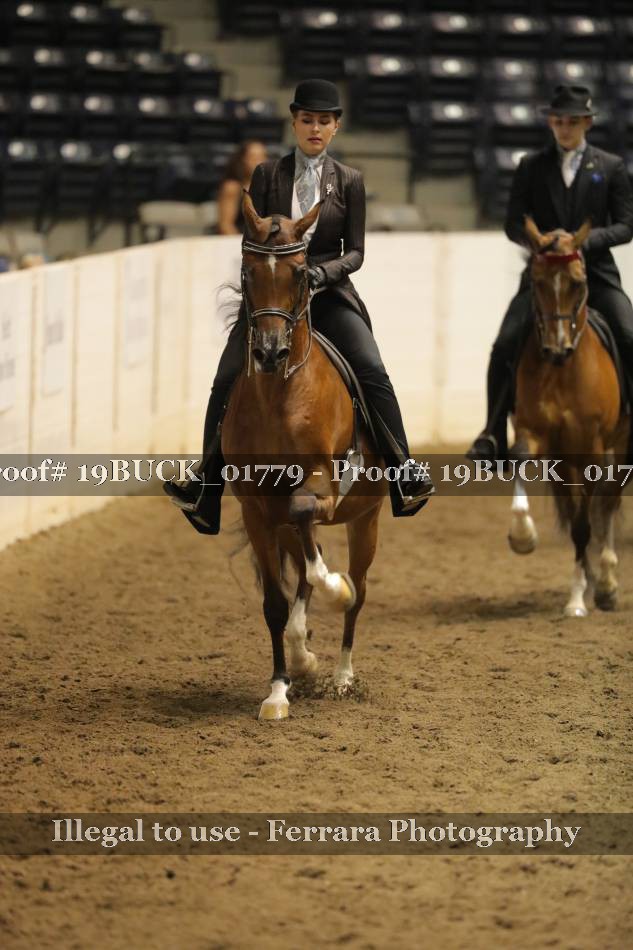 Proof 19BUCK_01779