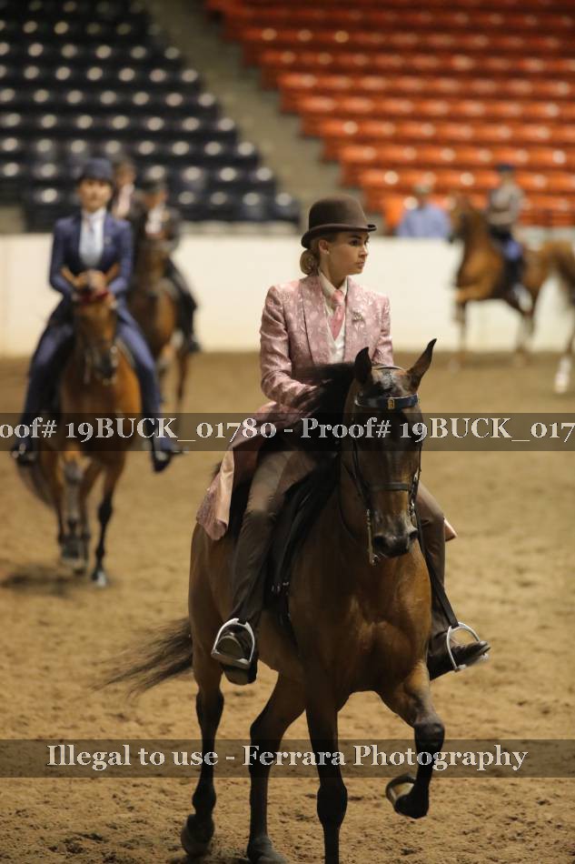 Proof 19BUCK_01780