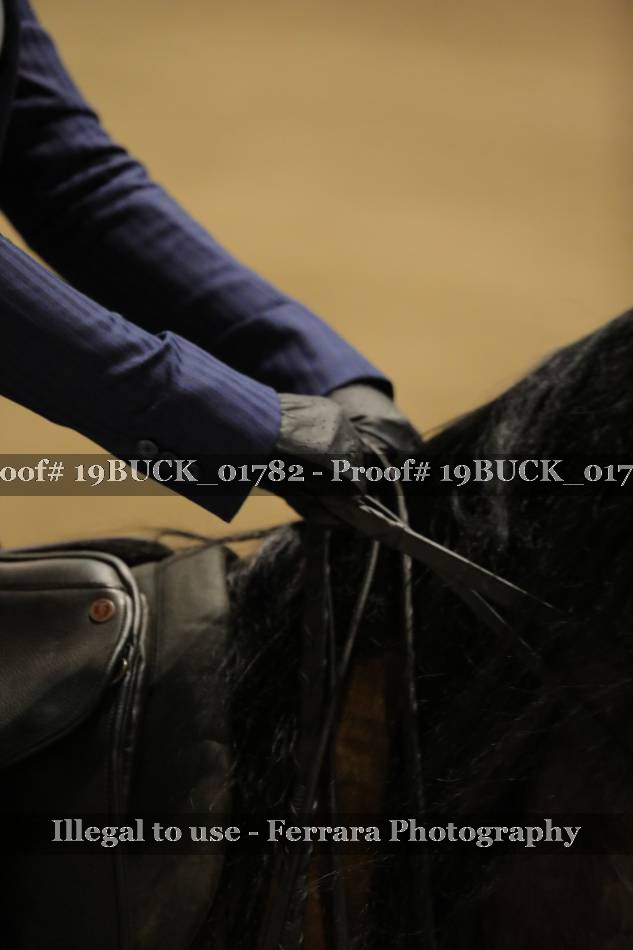 Proof 19BUCK_01782