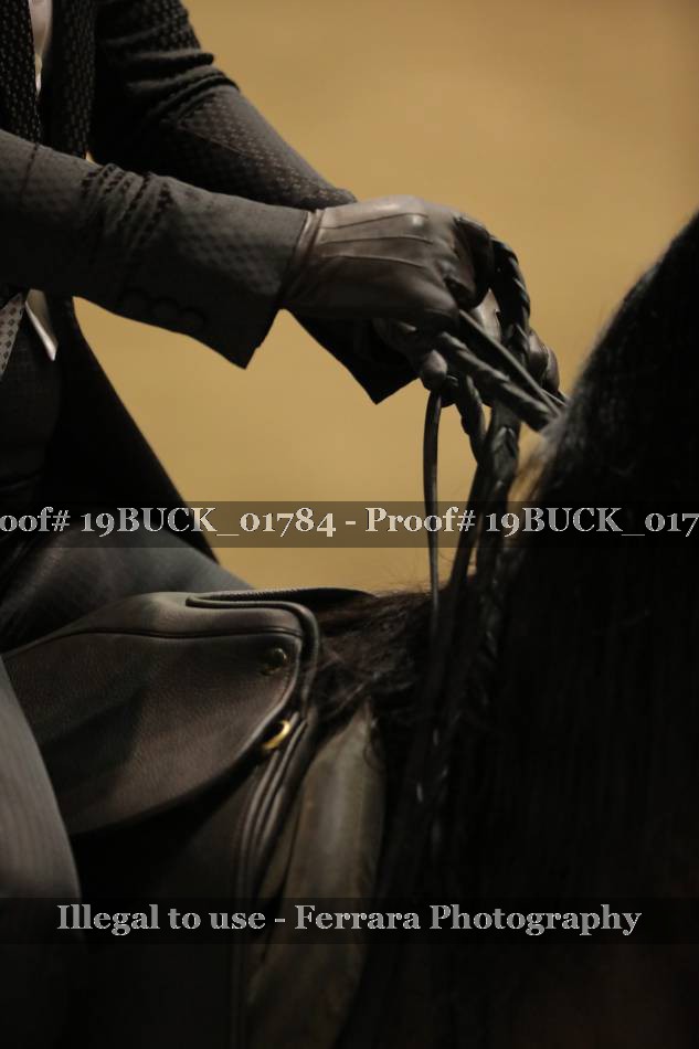Proof 19BUCK_01784