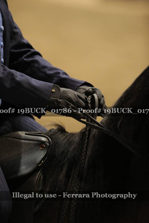 Proof 19BUCK_01786