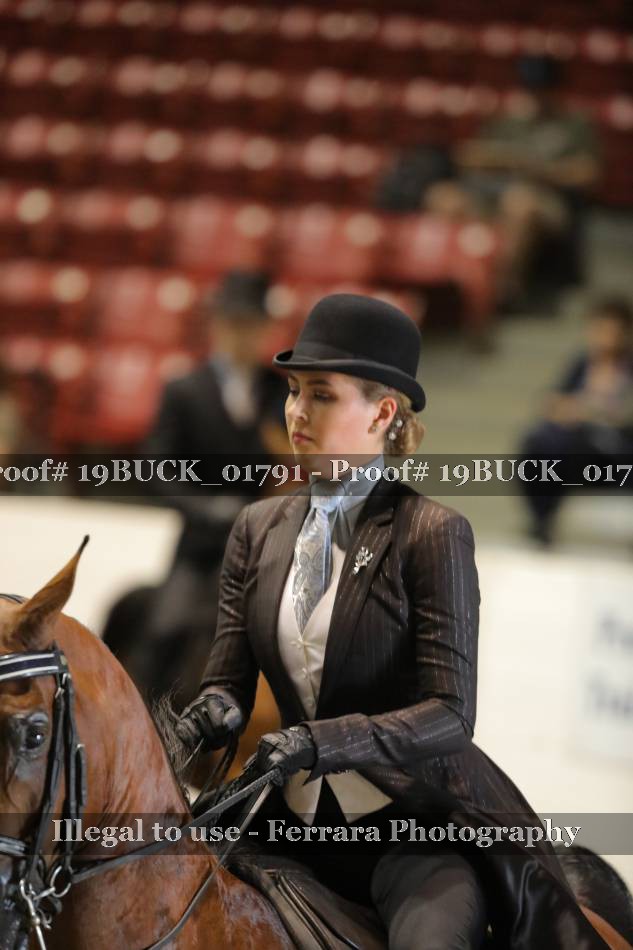 Proof 19BUCK_01791