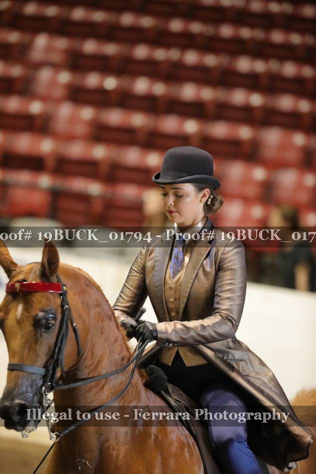 Proof 19BUCK_01794