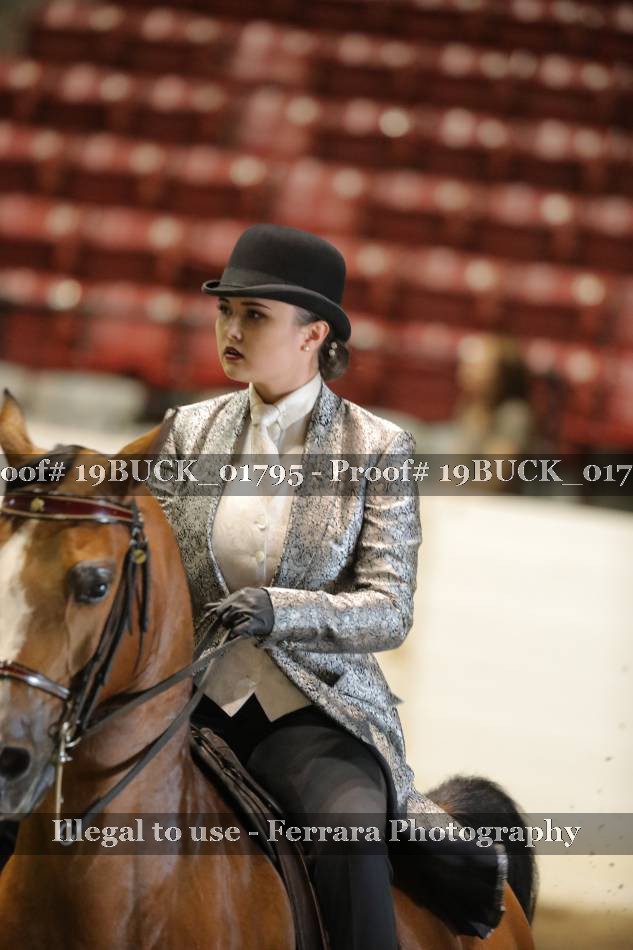 Proof 19BUCK_01795