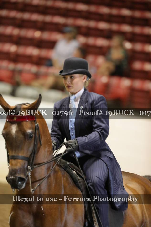 Proof 19BUCK_01796