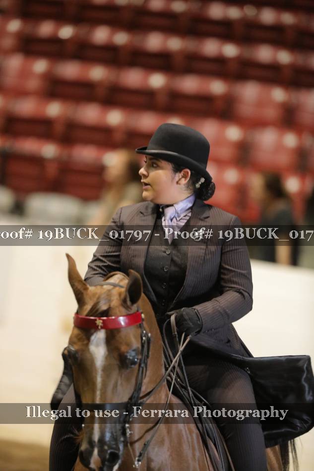 Proof 19BUCK_01797