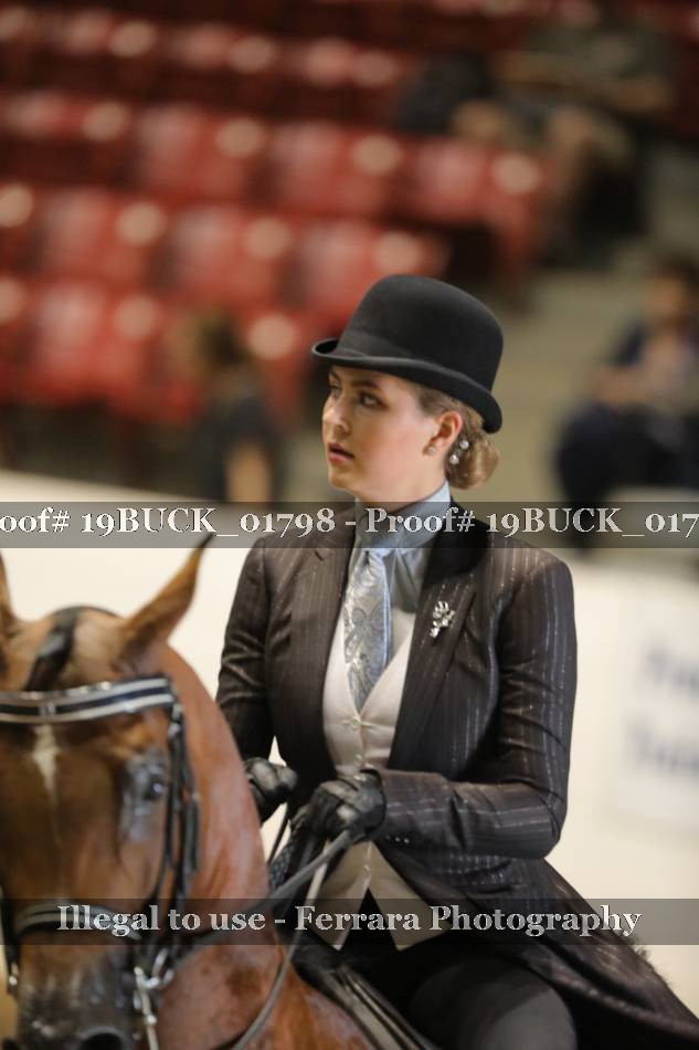 Proof 19BUCK_01798