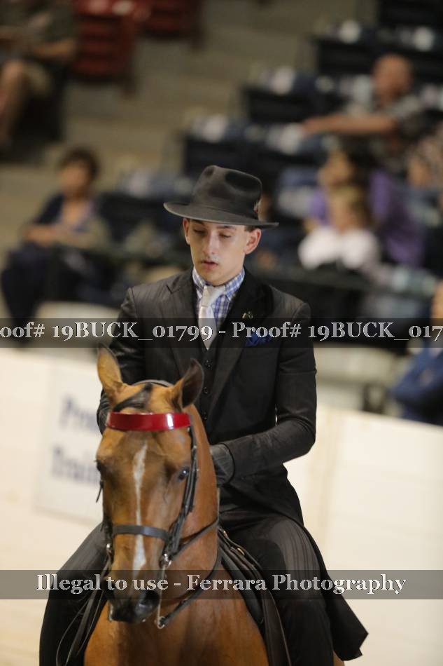 Proof 19BUCK_01799