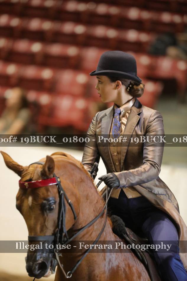 Proof 19BUCK_01800