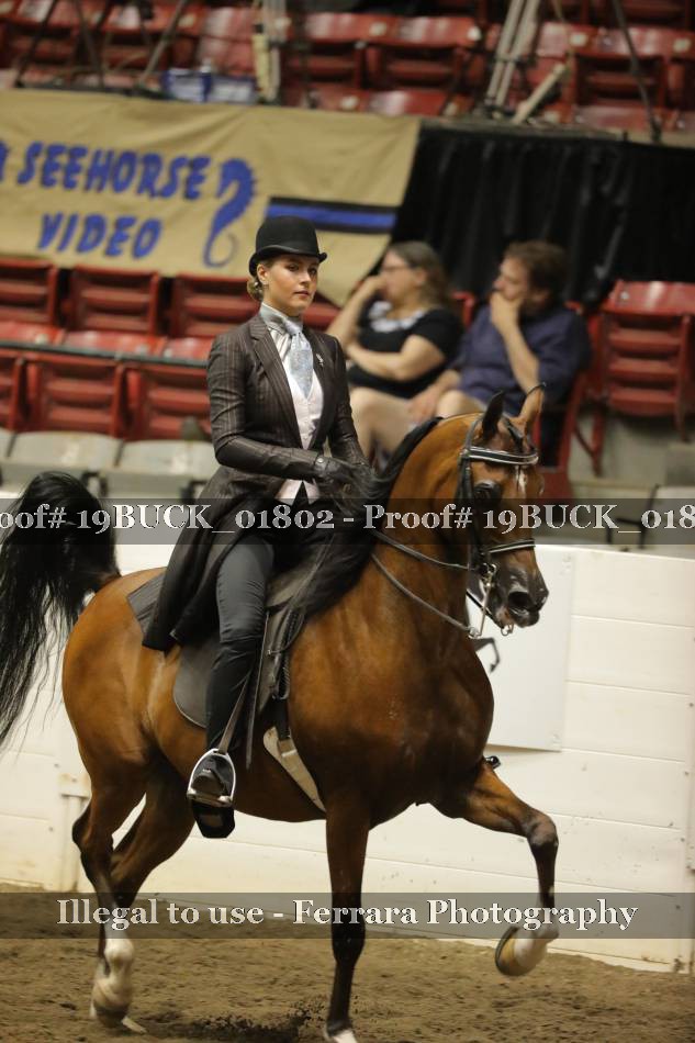 Proof 19BUCK_01802