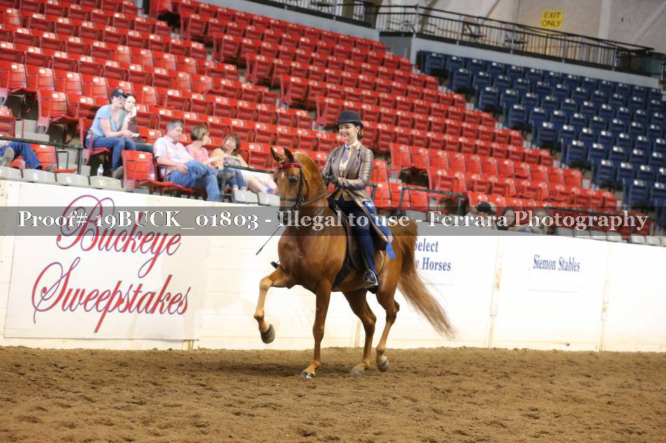 Proof 19BUCK_01803