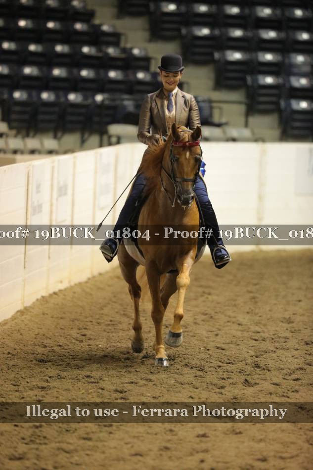 Proof 19BUCK_01804