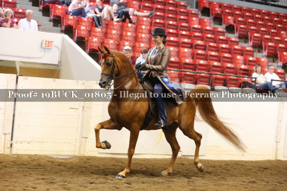 Proof 19BUCK_01805