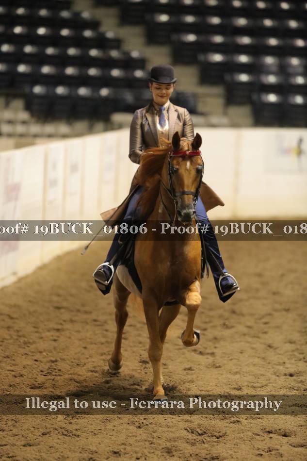 Proof 19BUCK_01806