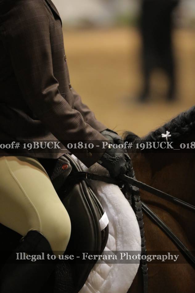 Proof 19BUCK_01810