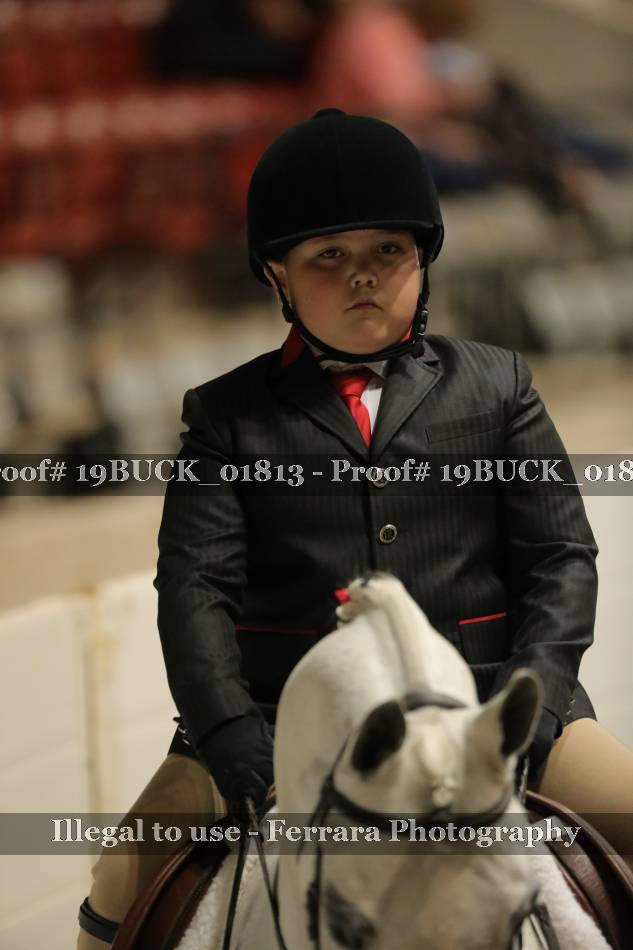 Proof 19BUCK_01813