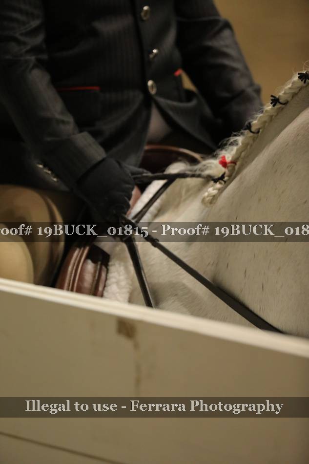 Proof 19BUCK_01815