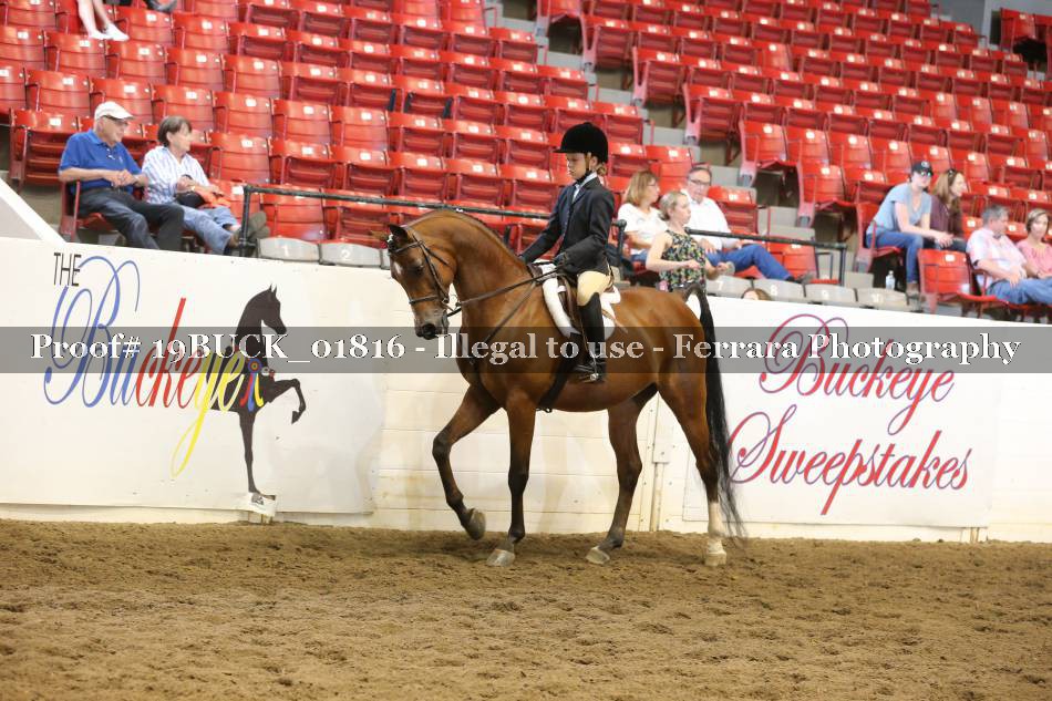 Proof 19BUCK_01816