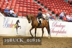 19BUCK_01816 proof