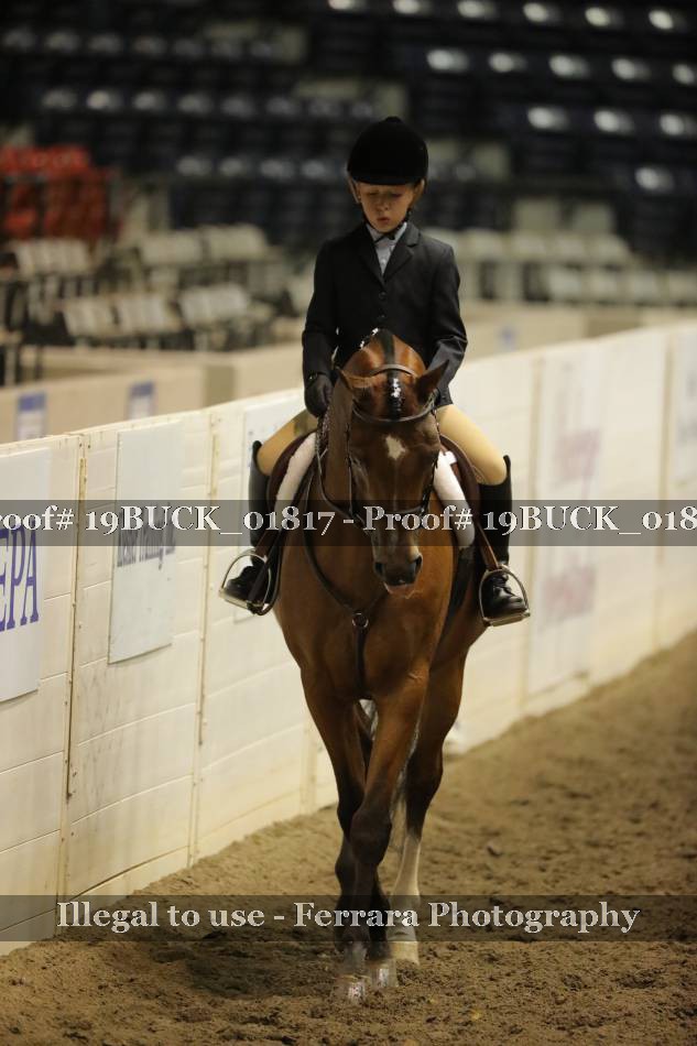 Proof 19BUCK_01817