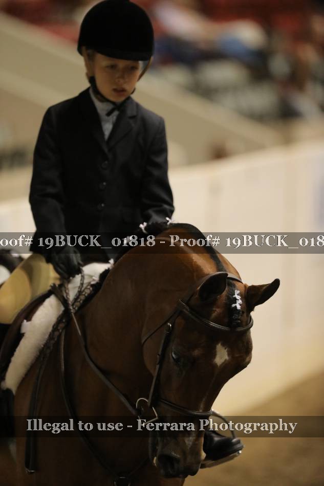 Proof 19BUCK_01818