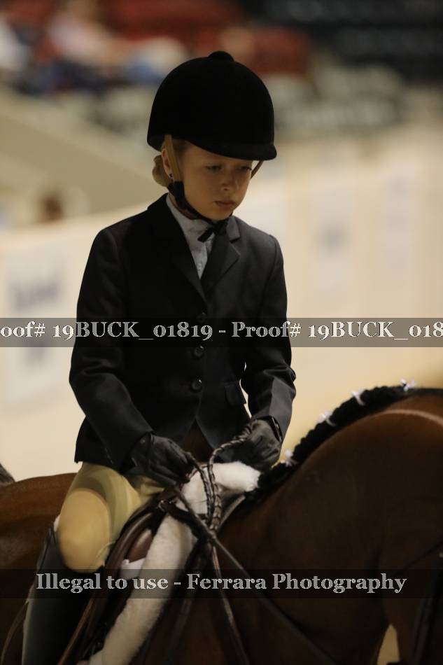 Proof 19BUCK_01819