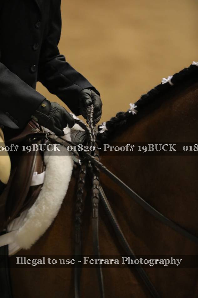 Proof 19BUCK_01820