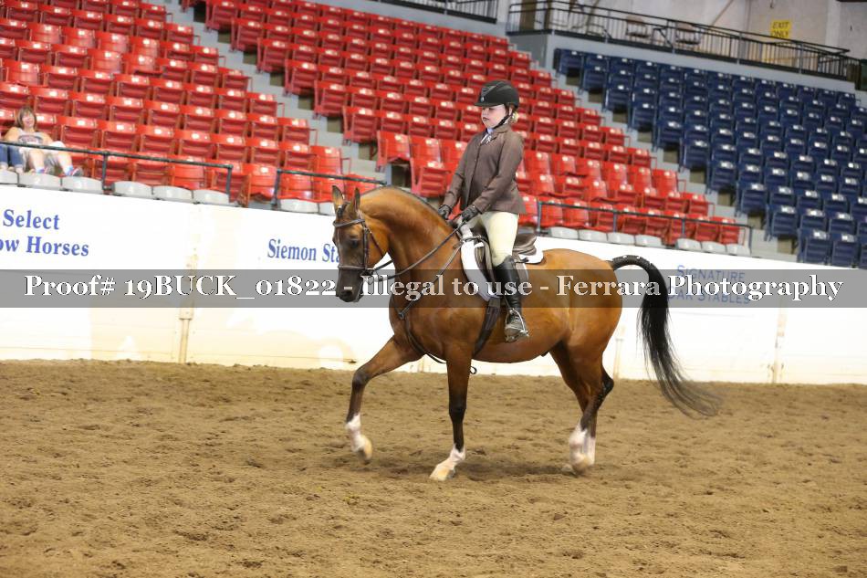 Proof 19BUCK_01822
