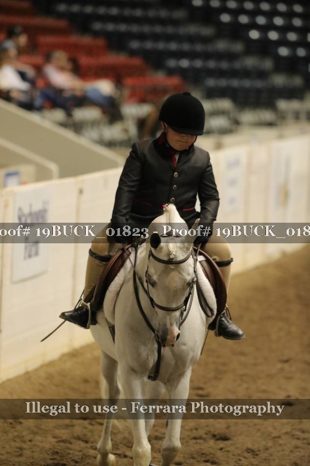 Proof 19BUCK_01823