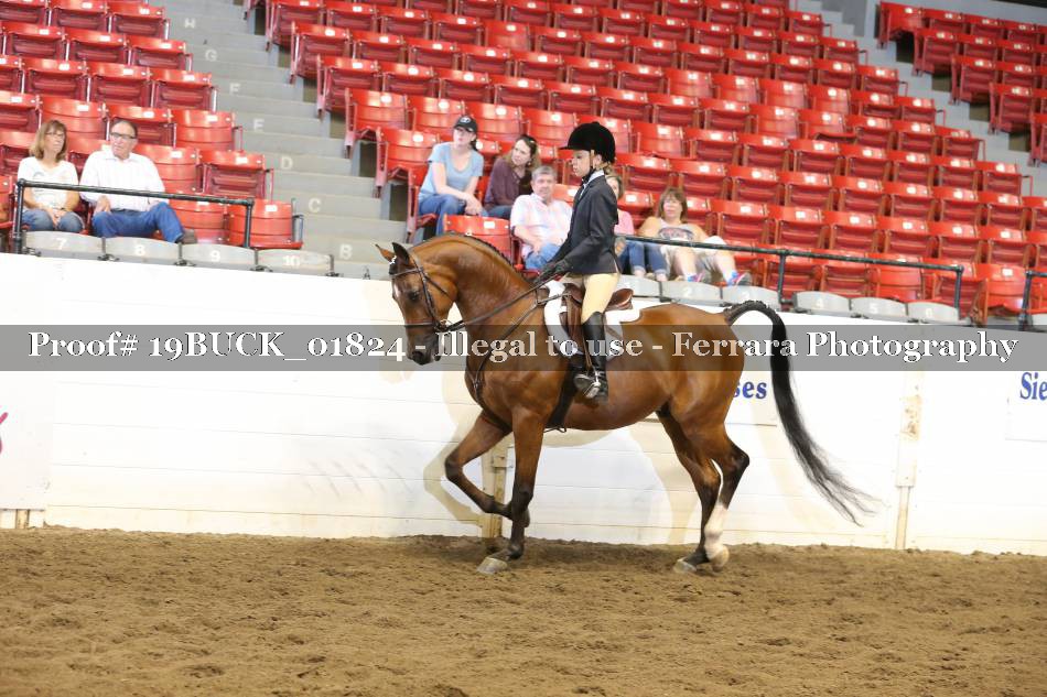 Proof 19BUCK_01824