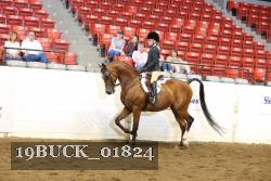 19BUCK_01824 proof