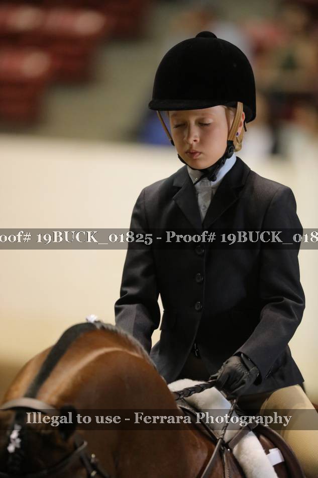 Proof 19BUCK_01825