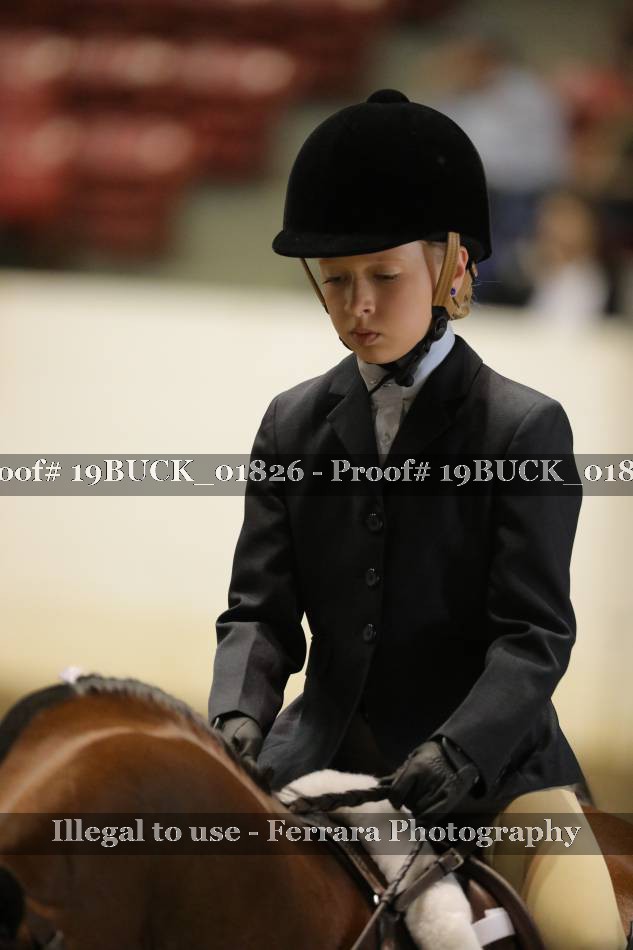 Proof 19BUCK_01826