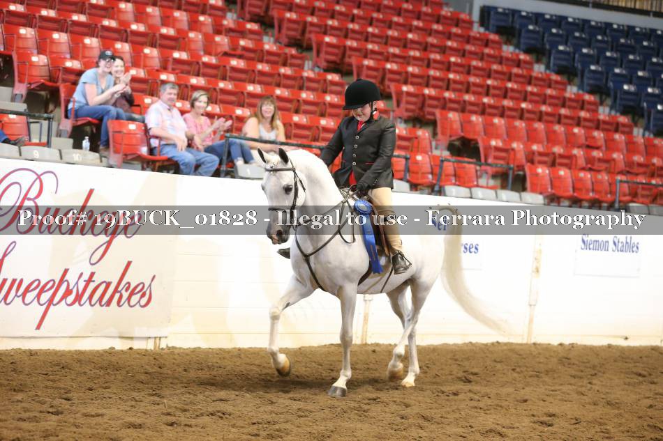 Proof 19BUCK_01828