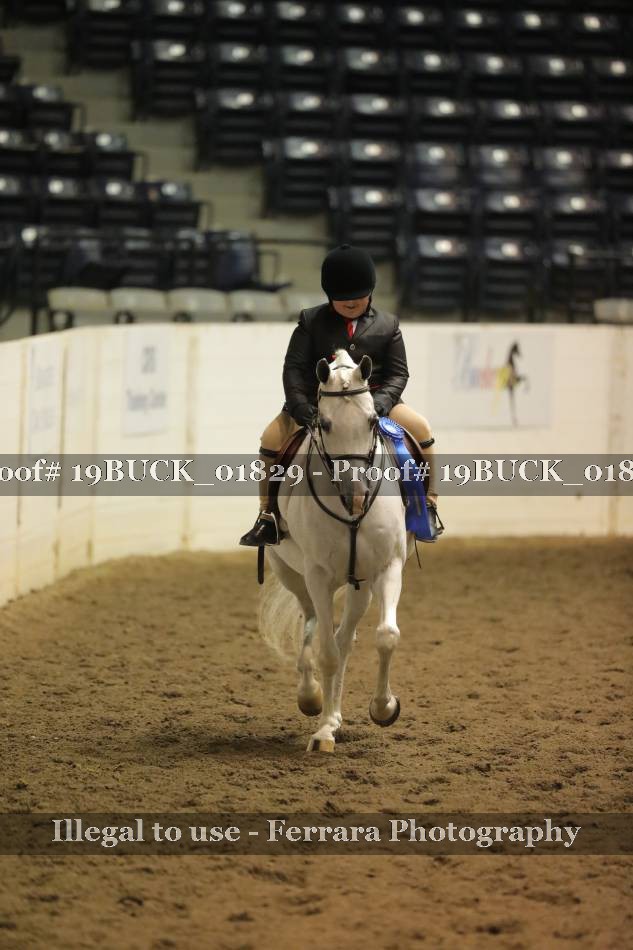 Proof 19BUCK_01829