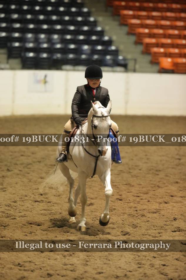 Proof 19BUCK_01831