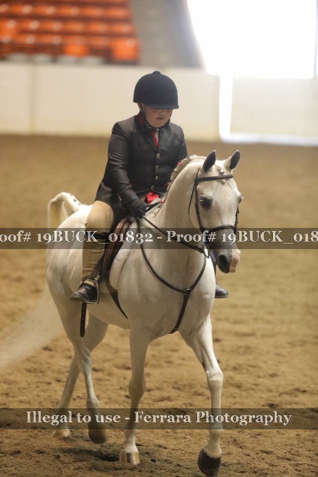 Proof 19BUCK_01832