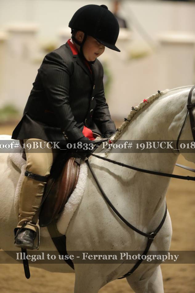 Proof 19BUCK_01833