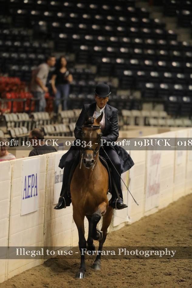 Proof 19BUCK_01834
