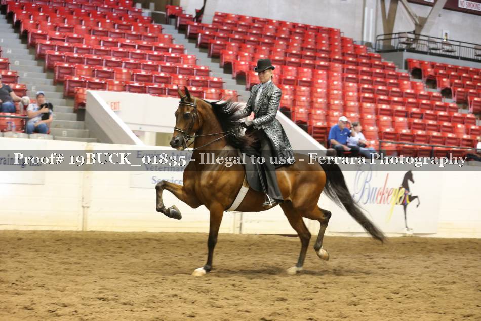 Proof 19BUCK_01835