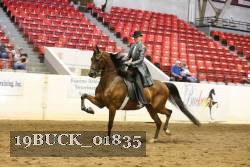 19BUCK_01835 proof