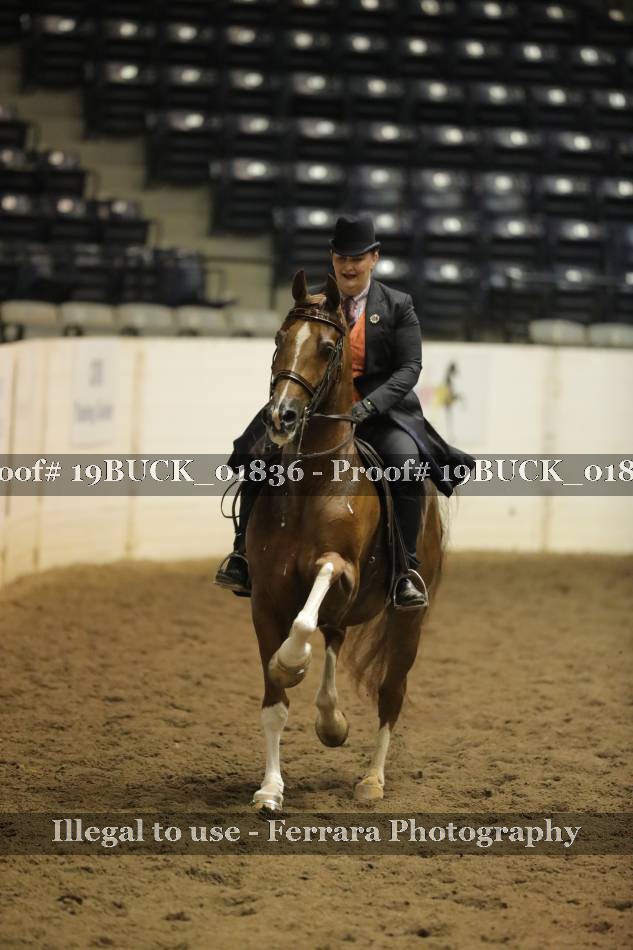 Proof 19BUCK_01836