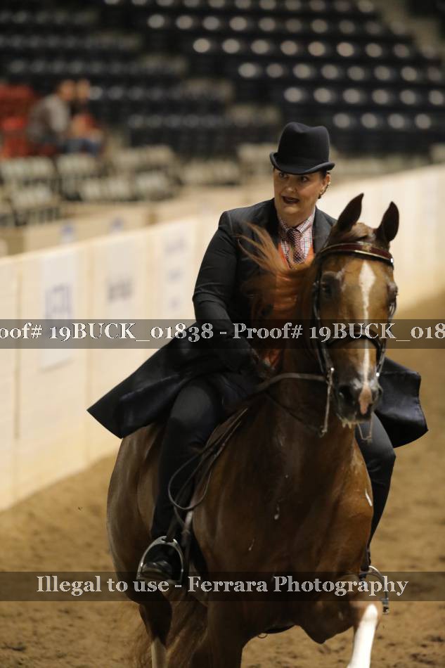 Proof 19BUCK_01838