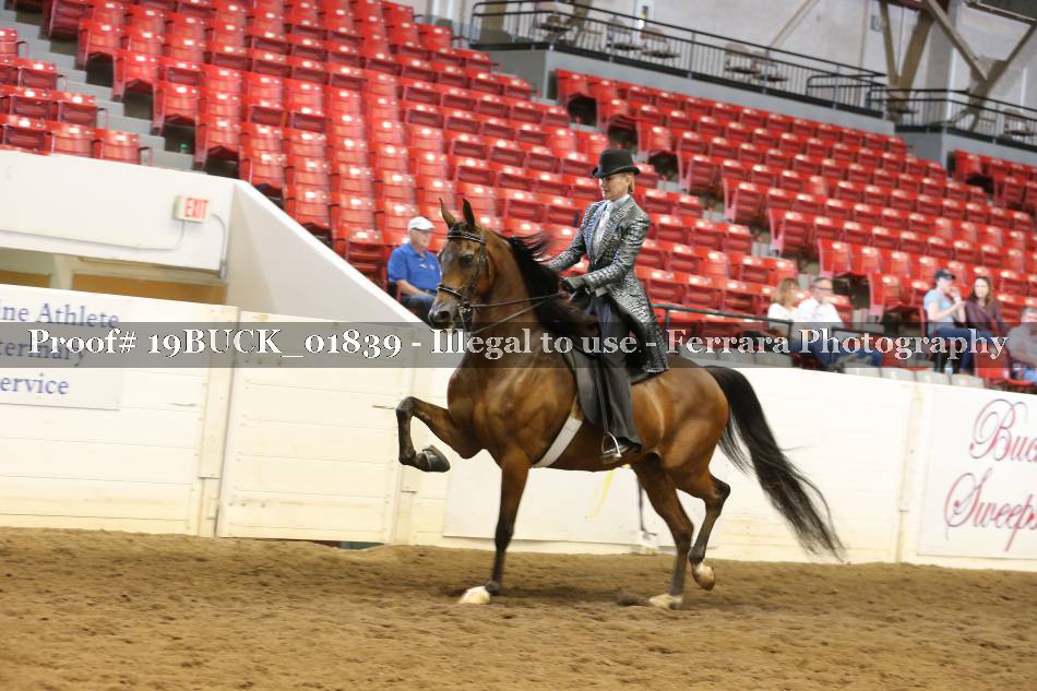 Proof 19BUCK_01839