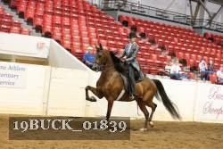 19BUCK_01839 proof