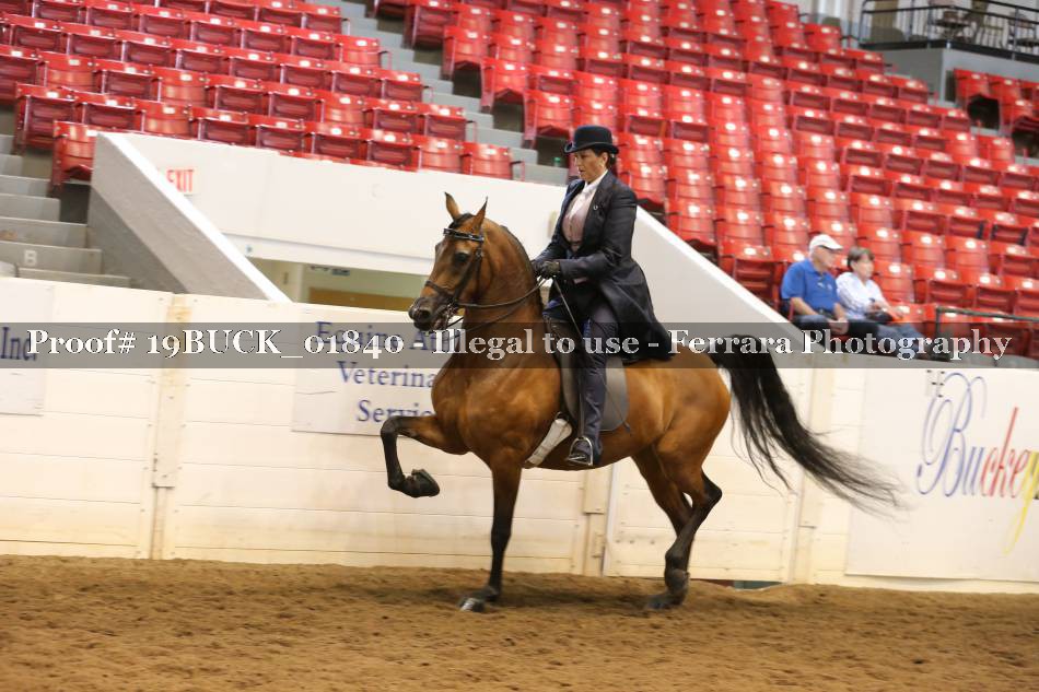 Proof 19BUCK_01840