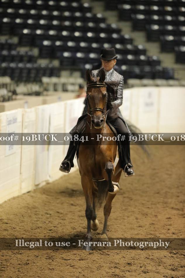 Proof 19BUCK_01841